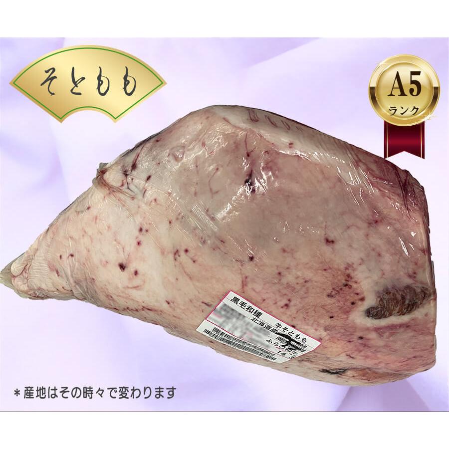 ソトモモ 約15kg 黒毛和牛 A5ランク 5等級 牛もも肉 牛モモ肉 国産牛 ブロック 業務用 贈答品 ギフト ブランド牛