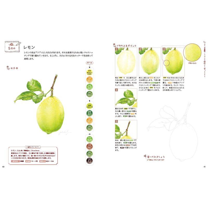 14日間でマスター 描き込み式 色鉛筆で植物画レッスンブック