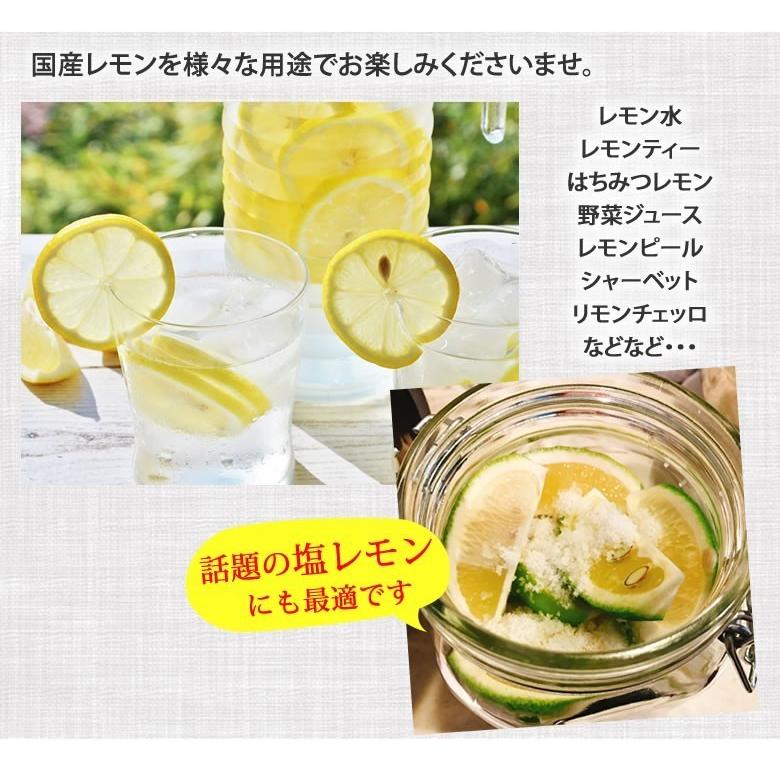 レモン 国産レモン 送料無料 2kg S〜L 3箱購入で1箱おまけ 熊本県産 減農薬 防腐剤ワックス不使用 れもん グリーンレモン 国産