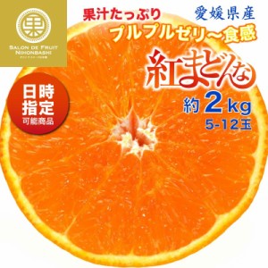 [予約 12月1日-12月30日の納品] 紅まどんな 約2kg 5-12玉 愛媛県 化粧箱 お歳暮 御歳暮 冬ギフト