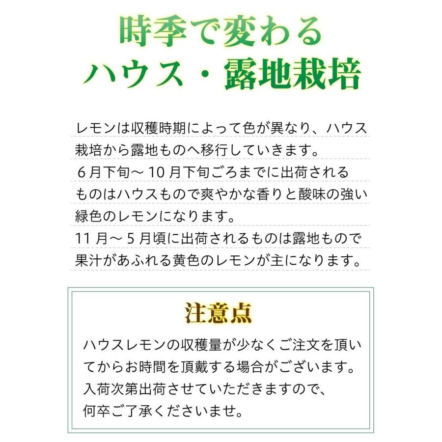 レモン 国産 愛媛 瀬戸内レモンご家庭用 ５kg(42玉前後) 産地直送 ノーワックス・減農薬 J常