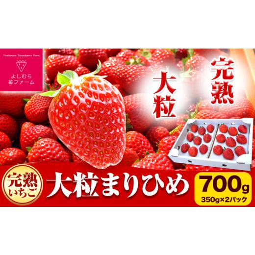 ふるさと納税 和歌山県 岩出市 完熟いちご大粒まりひめ 700g(350g×２パック) よしむら苺ファーム 《12月上旬-4月中旬頃より順次出荷》 和歌山県 岩出市 いち…