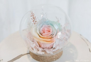 永生玫瑰花盅/永生花玻璃球/永生花禮/生日禮物/不凋花盅/不凋花