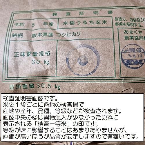 新米 令和5年 熊本県 天草地方産 こしひかり 特別栽培米 玄米 5kg