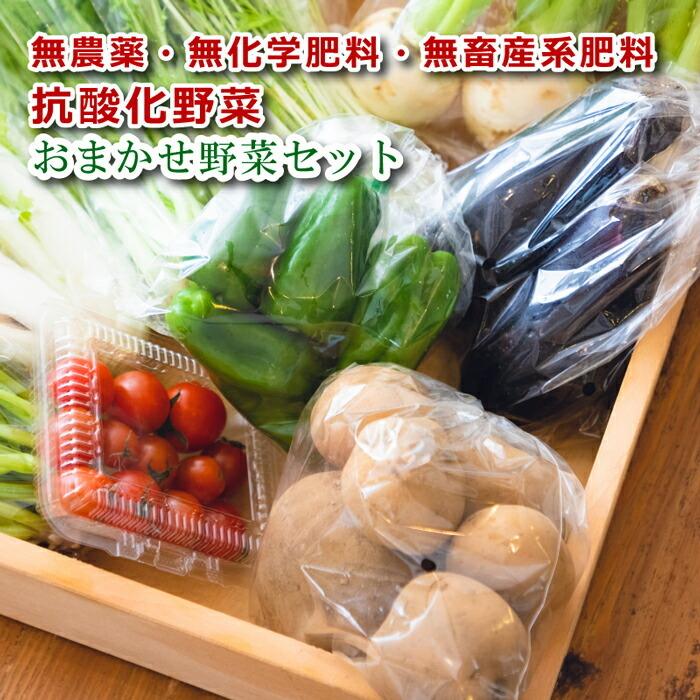  無農薬野菜セット 相模湖からお届けする無農薬野菜「季節のおまかせ詰め合わせ」 オーガニック 旬 食材 新鮮 採れたて 厳選 食品 国産 産直野菜