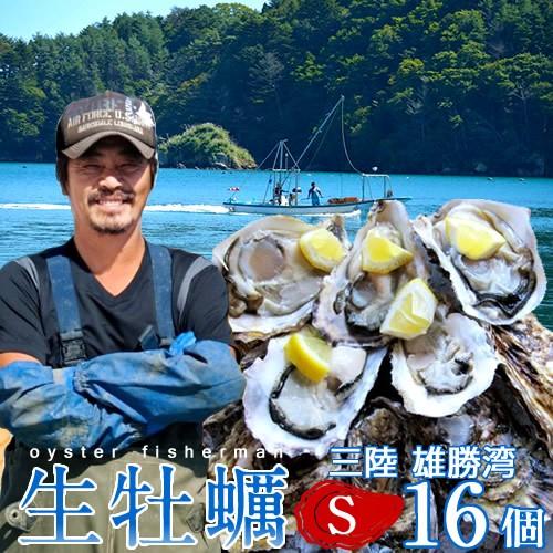 カキ 牡蠣 生牡蠣 殻付き S 16個 生食用 生ガキ 宮城県産 三陸漁師 格安 産地直送 お取り寄せ バーベキュー［お歳暮 2023 ギフト 魚 御歳暮］