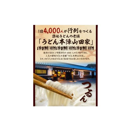 ふるさと納税 香川県 高松市 うどん本陣山田家 冷凍個食鍋 讃岐カレーうどん480g×4