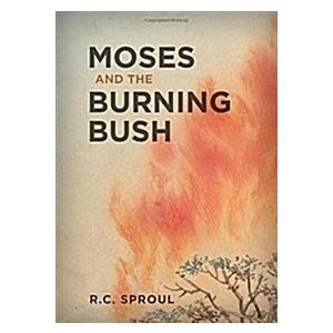 Moses and the Burning Bush (Hardcover)