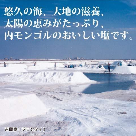 蒙古の塩 天外天塩 業務用 20kg×1袋 岩塩 微粒 精製塩 丹羽久