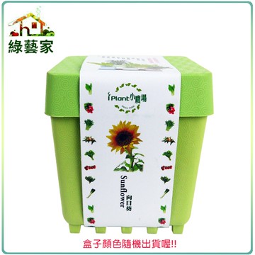 【綠藝家】iPlant小農場系列-向日葵
