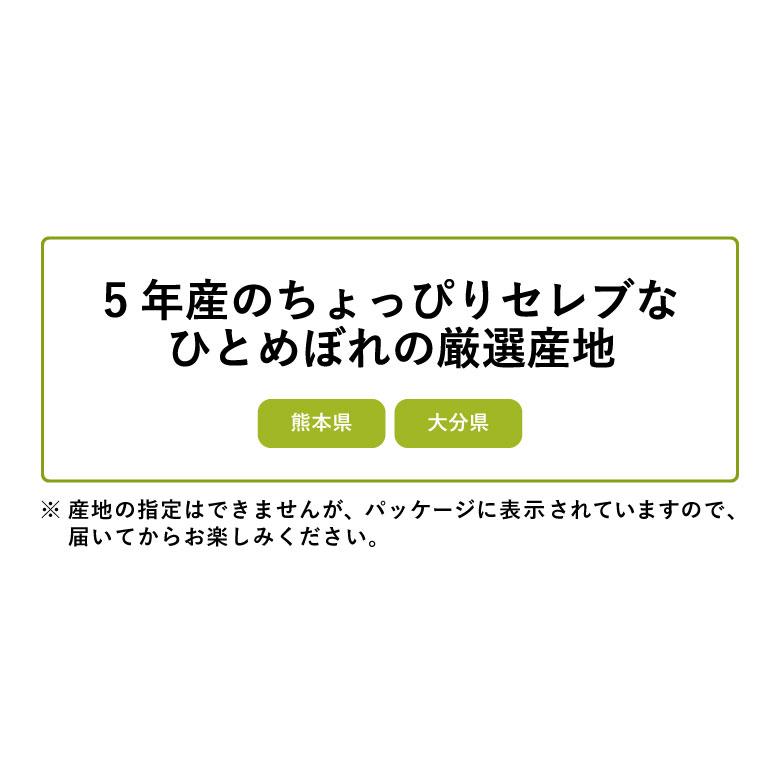 新米 米 お米 20kg ちょっぴりセレブな ひとめぼれ 国内産 令和5年産 玄米20kg 精米18kg