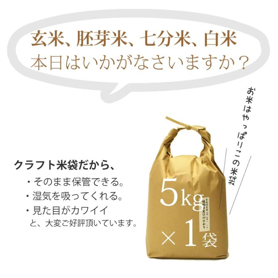  令和5年産 鹿児島県産 イクヒカリ 5kg 白米[精米後 約4.5kg] 注文後精米 (ギフトにも)