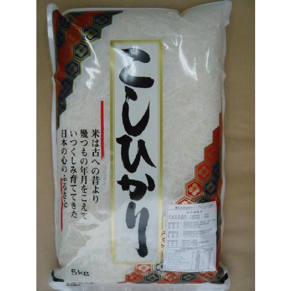 新米令和5年度産　　特A受賞　 京都府丹後産特別栽培コシヒカリ５キロｘ2