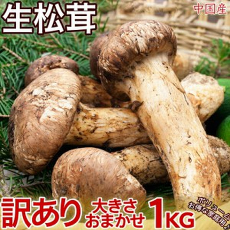 中国産 松茸 約1kg まつたけ マツタケ - sorbillomenu.com