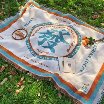 中國式野餐墊加厚便攜坐墊春游野炊防潮地墊戶外帳篷露營草坪墊子