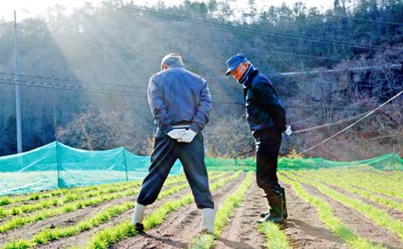 宇治町産　もち麦5個セット