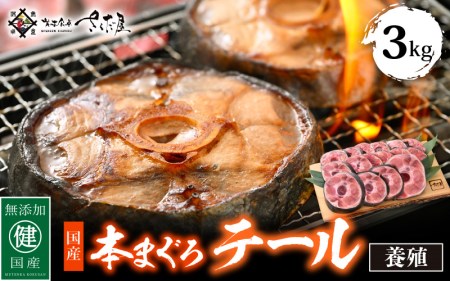 国産 本まぐろ テール 3kg まぐろの王様！引き締まった身に旨味が凝縮 ステーキや煮物に コラーゲンたっぷり！ [e04-b021]