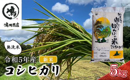 新米 コシヒカリ 乾式無洗米 5ｋｇ 令和5年産