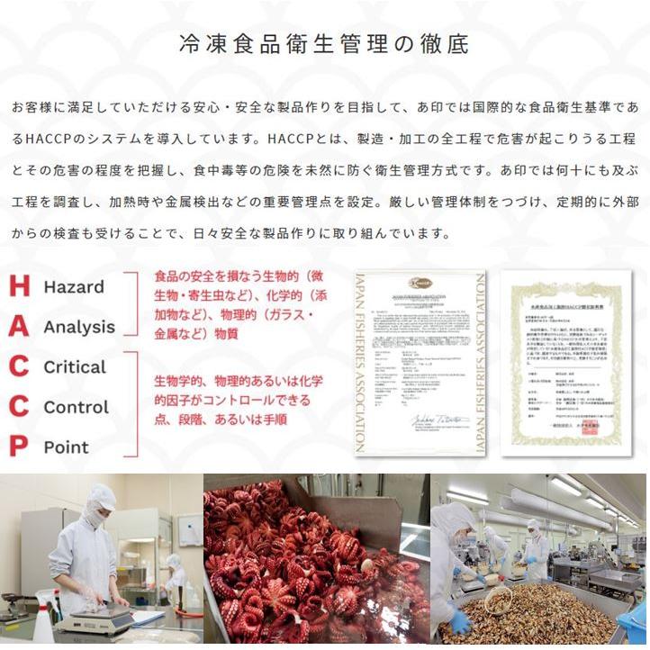 塩丸いか 180g(1本) 10パック　信州 名物  塩イカ 冷凍 国産  郷土食 塩漬け 塩丸イカ