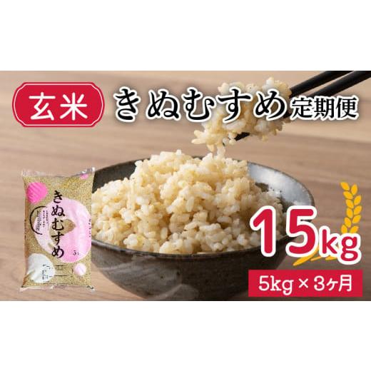 ふるさと納税 山口県 下関市  新米 令和5年産 きぬむすめ 5kg×3回 玄米 やまだ農園 豊田 下関