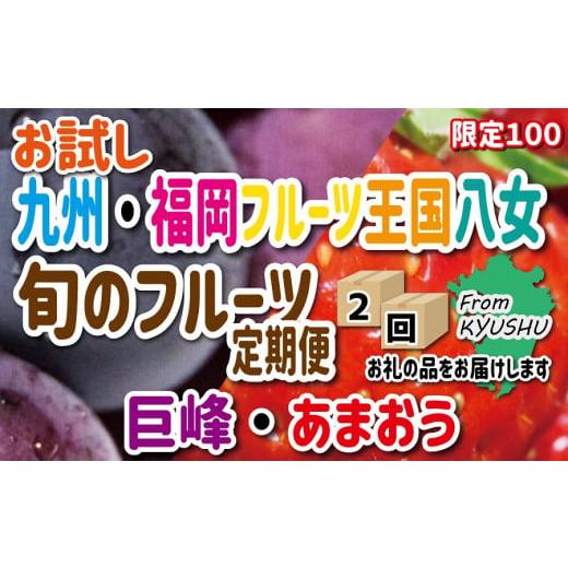 ふるさと納税 福岡県 八女市 九州・福岡フルーツ王国八女　お試し旬のフルーツ定期便 D ｜＜配送不可：北海道・沖縄・離島＞