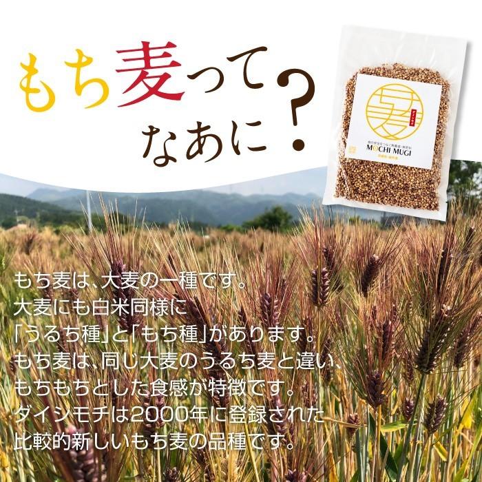 もち麦 もちむぎ 300g 無農薬 無肥料 自然栽培 ダイシモチ 宮崎県産 食物繊維