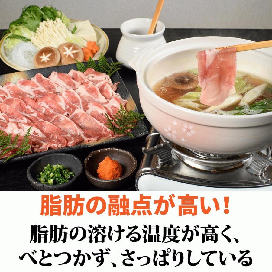 鹿児島 黒豚 しゃぶしゃぶ セット 2人前 ぽん酢やごまだれ不要 あごだしで食べる かごしま しゃぶしゃぶセット お取り寄せ グルメ ギフト 豚肉 肩ロース 独楽