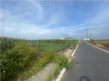 363坪會贏快樂玉米便宜農地｜台南市下營區十六甲