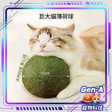 【巨無霸15CM】大麥克貓薄荷球 蟲癭果球 旋轉貓薄荷球 貓咪玩具 貓草球 貓薄荷玩具 去毛球 寵物零食 貓咪磨牙