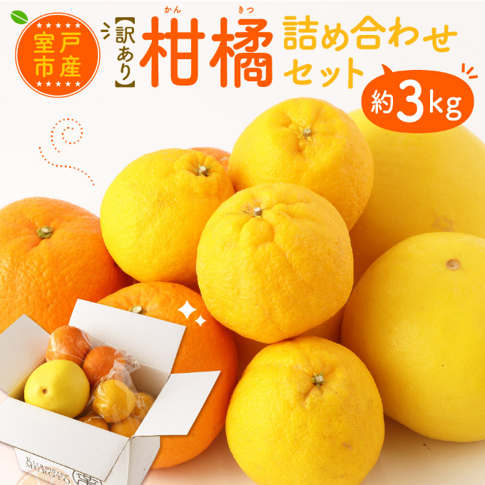 柑橘詰め合わせセット（約２．５ｋｇ）