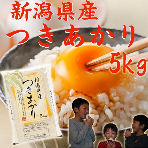 新米 5kg 令和5年 新潟産 つきあかり 白米 5kg プレゼント付き 精米 白米 米 お米 5kg ベストストア 農家直送 新潟県産 米 5kg 産地直送 安いお米