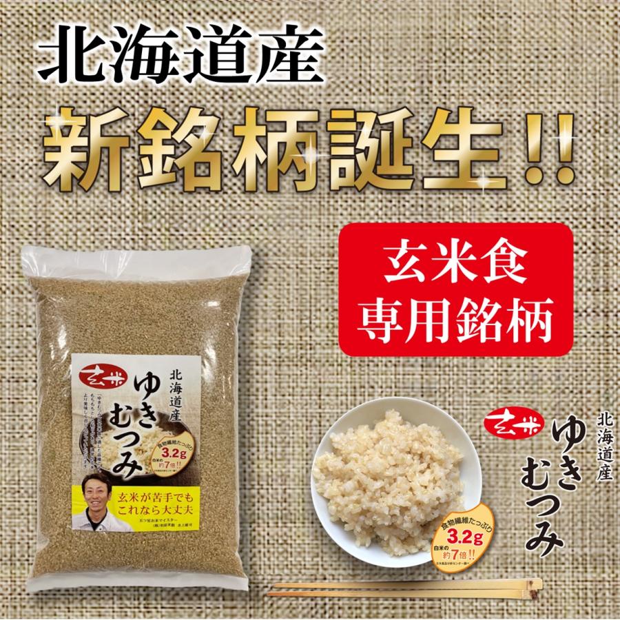 新米 玄米 ゆきむつみ 北海道産 5kg 令和5年産