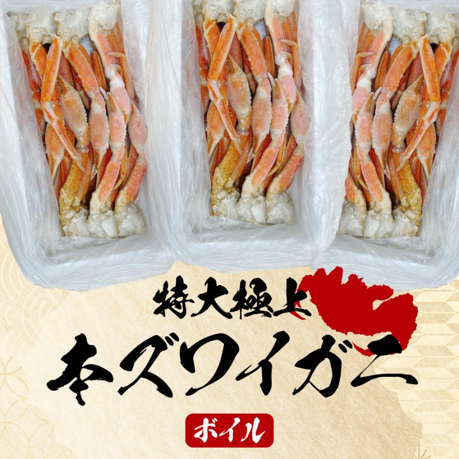  ズワイガニ ずわい蟹 かに カニ 蟹 訳有り 2kg (2~4人分) 9肩 4.5杯 冷凍 かに鍋 カニ鍋 カニしゃぶ ボイル お正月 お歳暮 プレゼント