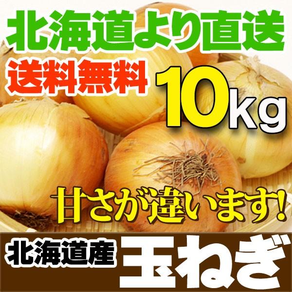 たまねぎ 北海道産 10kg L〜2Lサイズ 送料無料 玉ねぎ 野菜 ギフト お取り寄せ 産直 野菜 玉葱 秋の味覚