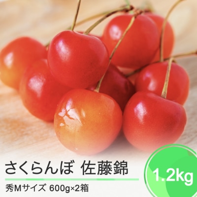 さくらんぼ 佐藤錦 秀Mサイズ 1.2kg(600g×2箱) バラ詰め 2024年産 山形県産