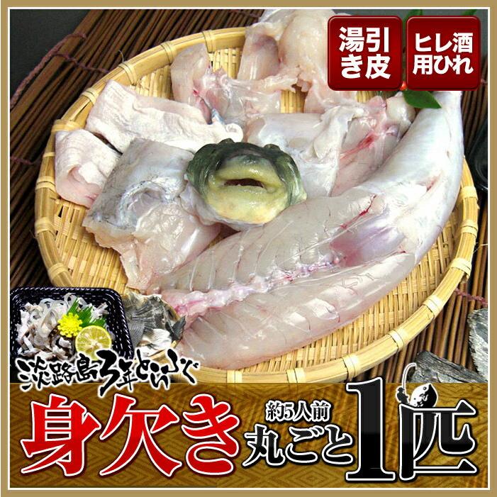 ３年とらふぐ 丸ごと1匹身欠き(元魚1.3kg:大きくなりました )鍋5人前 淡路島３年とらふぐ 若男水産