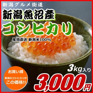 コシヒカリ 魚沼産 3000円分（3キロ） 新米 新潟米 お米 新潟産 産地直送 米 コメ お歳暮 自宅用 ギフト 贈答 贈り物