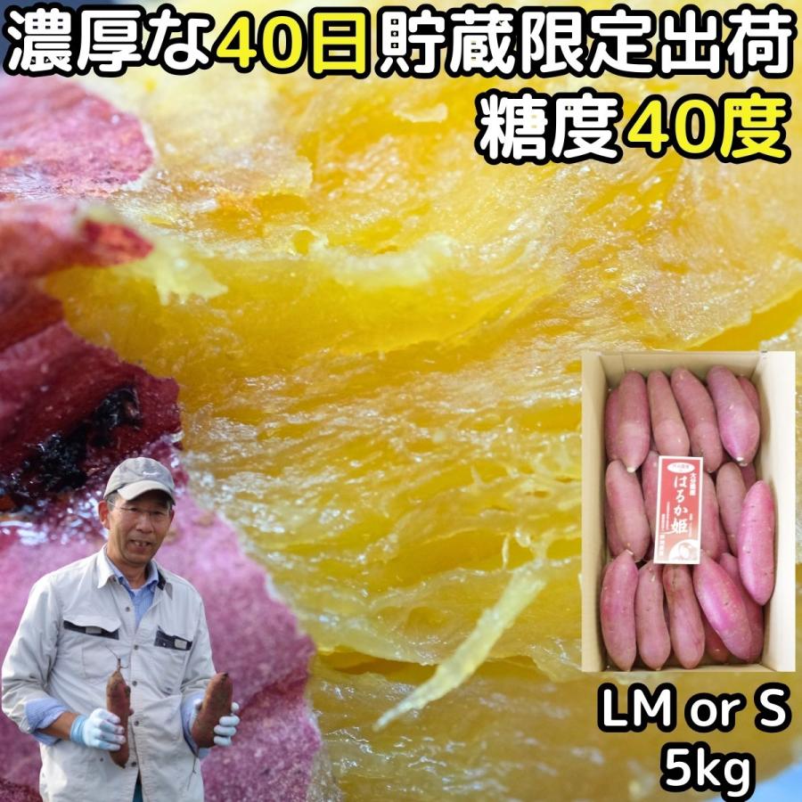 さつまいも 紅はるか 5kg l〜m or S 甘い 熟成 贈答用 お歳暮 大分 芦刈農産 ねっとり ギフト 箱入