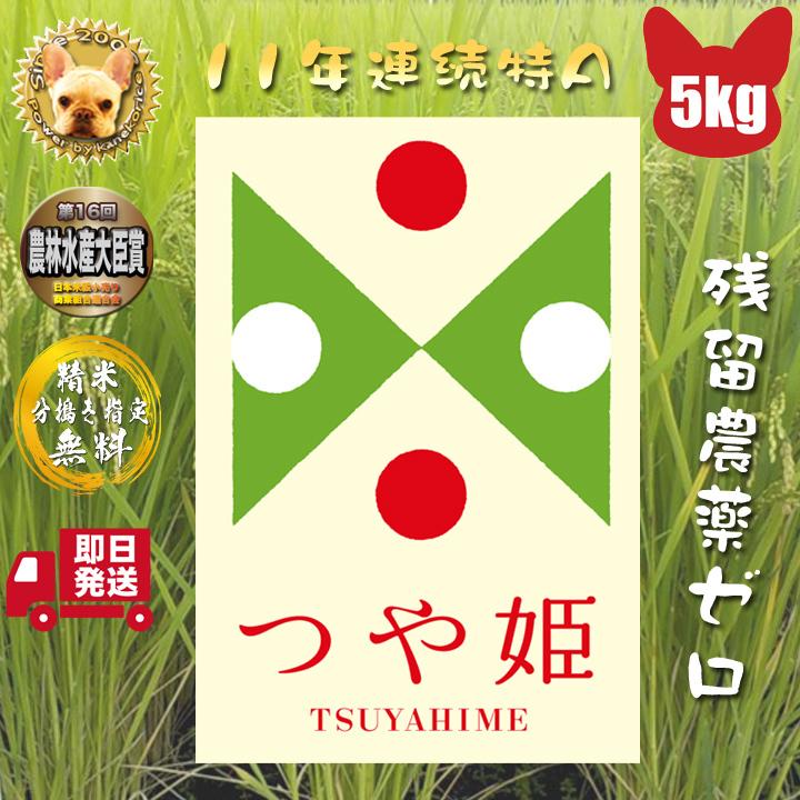 山形県産 置賜産 つや姫 玄米 5kg 1等 令和5年産 特栽減減  精米,分搗き指定 無料 新米