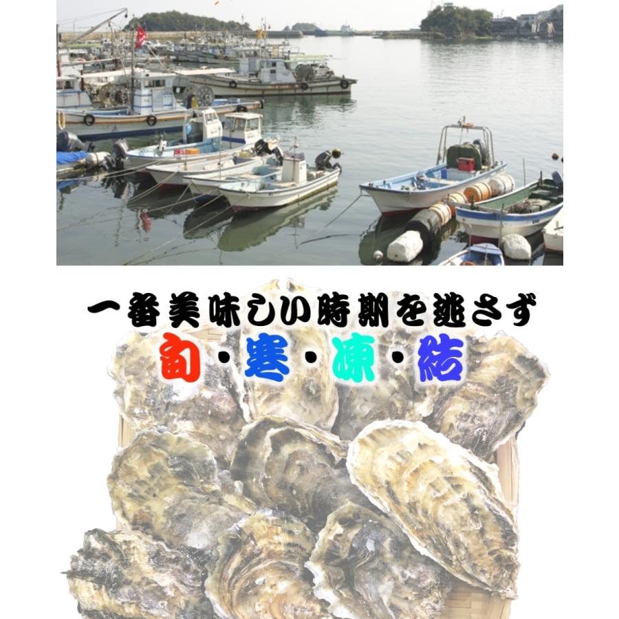 広島産 殻付き牡蠣 訳あり 3キロ(約30個) カンカン焼き カキ かき 宮島 BBQ ナイフ 軍手付 ギフト 取り寄せ