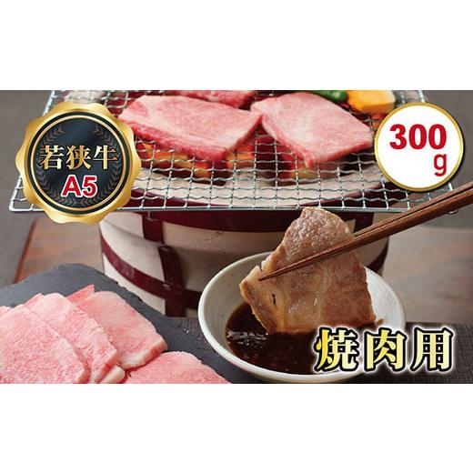 ふるさと納税 福井県 越前市 若狭牛焼肉用（A5ランク）　300ｇ