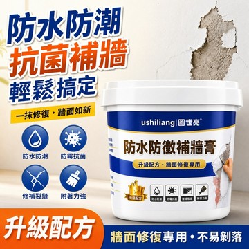 隔日達🚚防水防黴補墻膏 裂縫修復 牆面修補膏 墻壁裂縫修補 披土補強膏 墻壁修補膏 防霉 壁癌 防霉防水批土漆 膩子膏