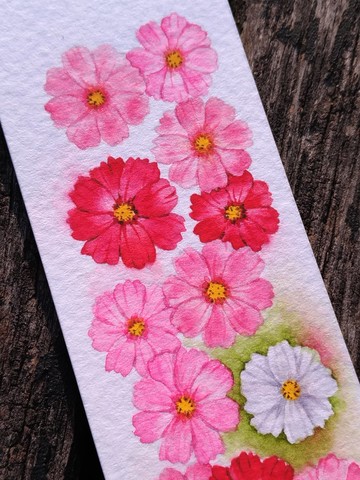 粉紅波斯菊 純真永遠快樂-水彩手繪花草書籤 情人禮物 祝福卡片 (