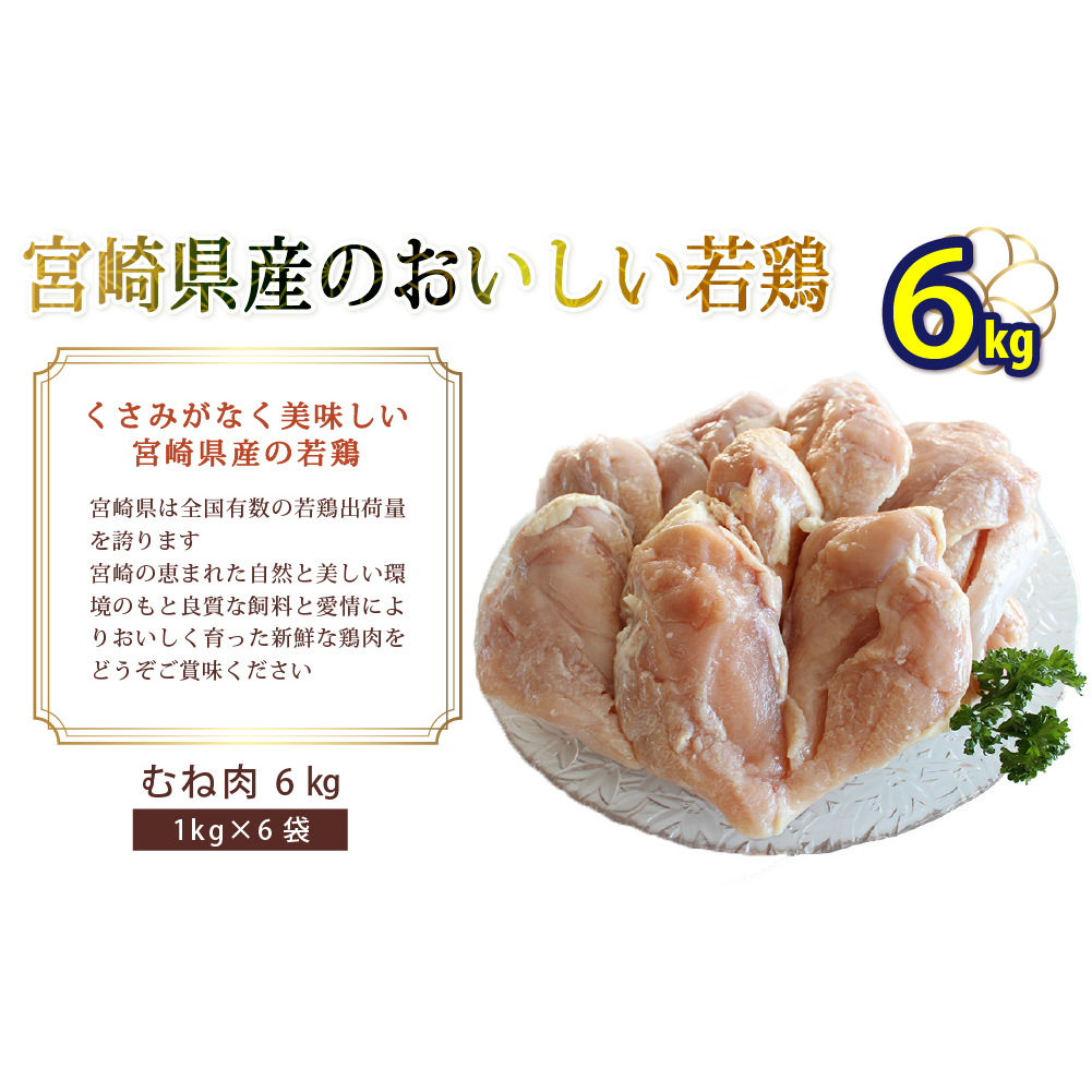 宮崎県産若鶏むね肉・凍結 合計6kg