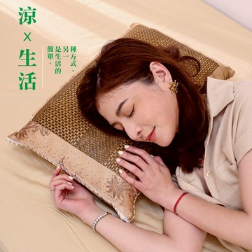 BuyJM 天然清香茶葉枕/枕頭 G-D-PW034