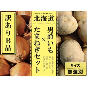 男爵いも  たまねぎセット (各5kg 合計10kg サイズ無選別 訳ありB品) 北海道産じゃがいもと玉ねぎのセット 黄玉葱