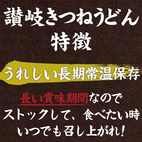 送料無料 ポイント消化 讃岐のきつねうどん 4食 得トクセール 食品 お試し グルメ うどん 讃岐うどん 通販 長期保存 ご当地グルメ