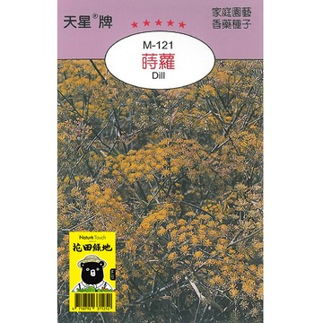 花田綠地種子-蒔蘿