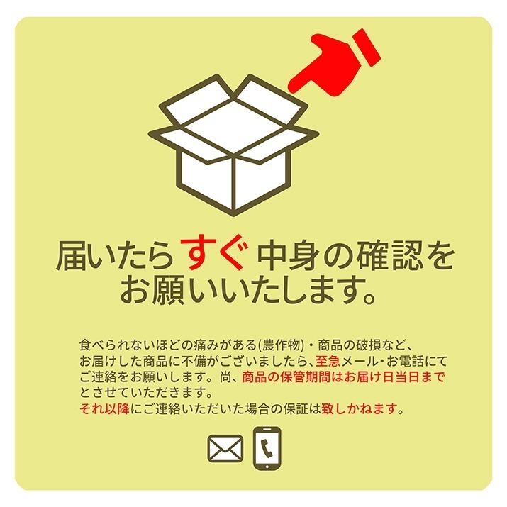 桃 訳あり 黄桃 3kg 13〜16玉前後 山形県産 お徳用 ご家庭用 わけあり もも 同梱不可 送料無料 遠方送料加算 クール便発送