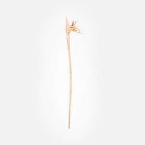 節慶人造枝花金色天堂鳥80cm